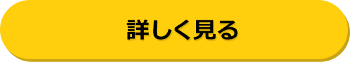 詳しく見る